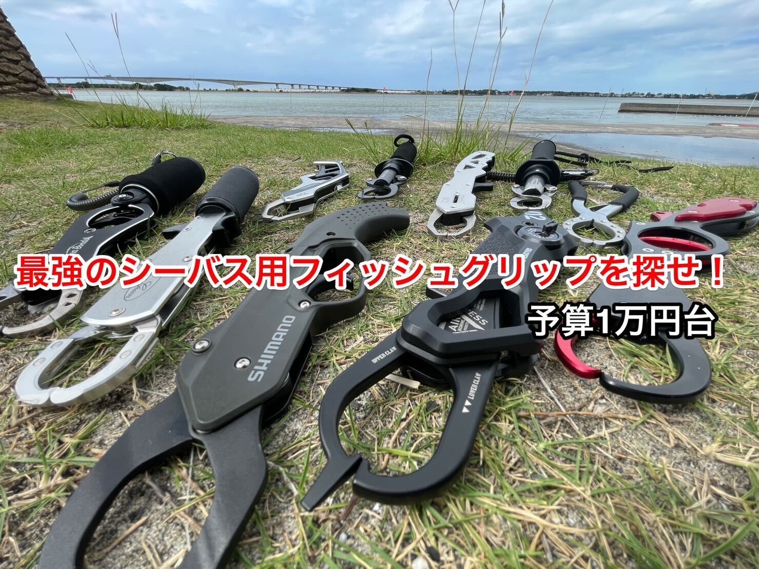最強の対シーバス用フィッシュグリップを探せ！予算1万円台編 | 因果釣報