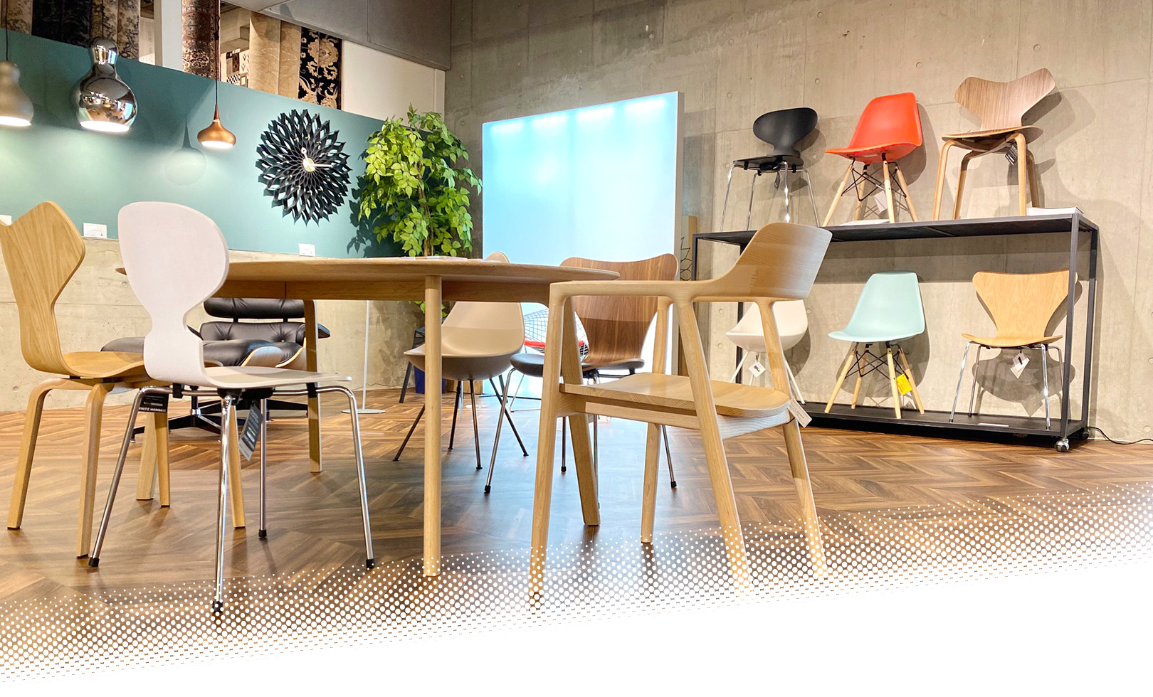 NAGANO INTERIOR DT024(杉) | 札幌家具インテリアTERRA