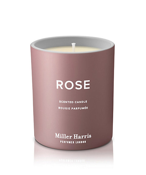 ミラーハリス キャンドル ティー 本体のみ products｜メゾン