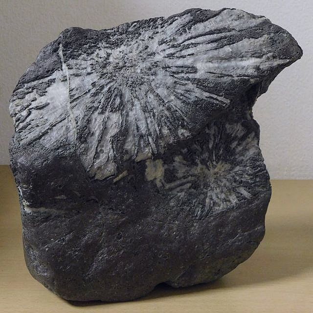 山水石美術館」 全国の水石・美石を紹介 土佐菊花石・多摩菊花石