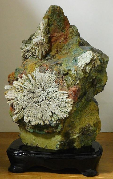 山水石美術館」 全国の水石・美石を紹介 土佐菊花石・多摩菊花石