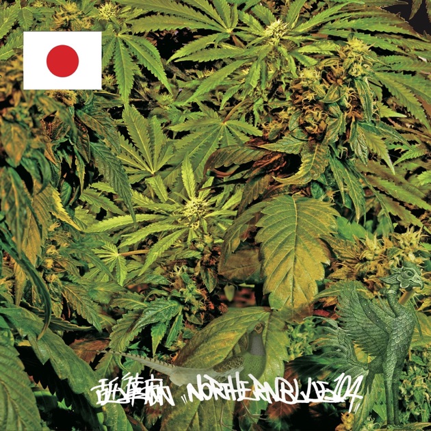 NORTHERNBLUE1.0.4. - 舐達麻のアルバム - Apple Music