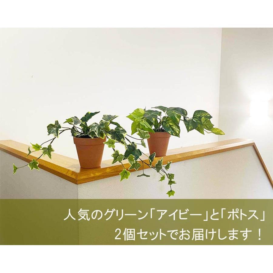 光触媒 フェイクグリーン 2個セット アイビー＆ポトス 観葉植物 造花