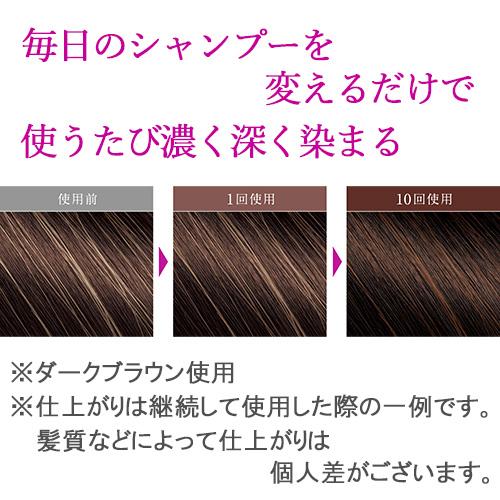 サロンドプロ 浸透カラーで染まる白髪染めシャンプー カラーシャンプー