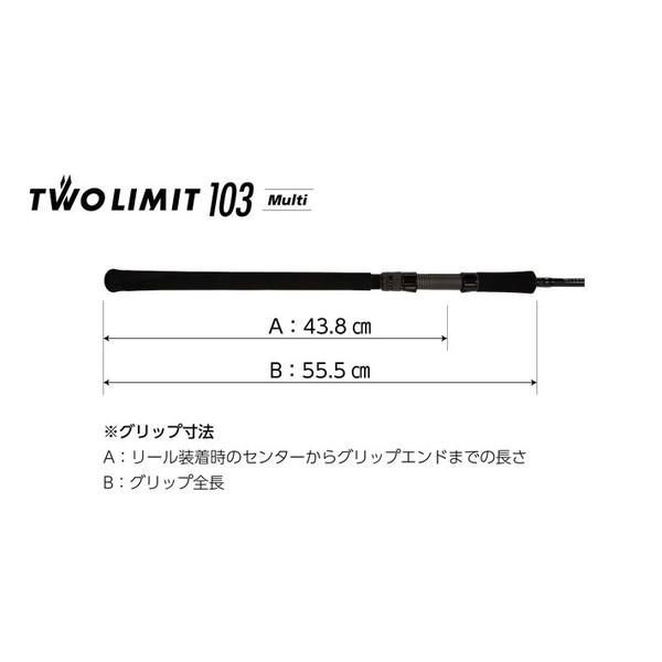 JUMPRIZE（ジャンプライズ） シーバスロッド ツーリミット103 マルチ