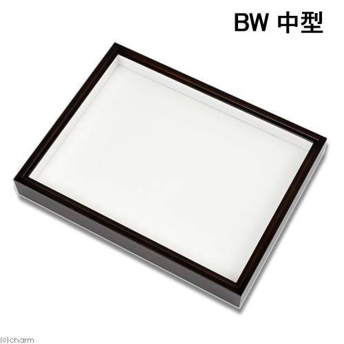 バードウィング製 ドイツ型標本箱 BW中型 （幅42．5×奥行32．5