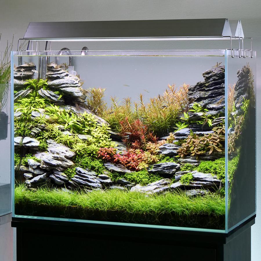 アクロ TRIANGLE LED VIVID 600 水草育成 照明