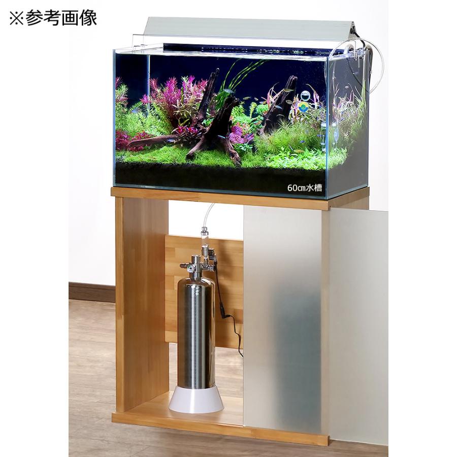 アクロ タイマー付き 化学反応式CO2ジェネレーターセット クエン酸