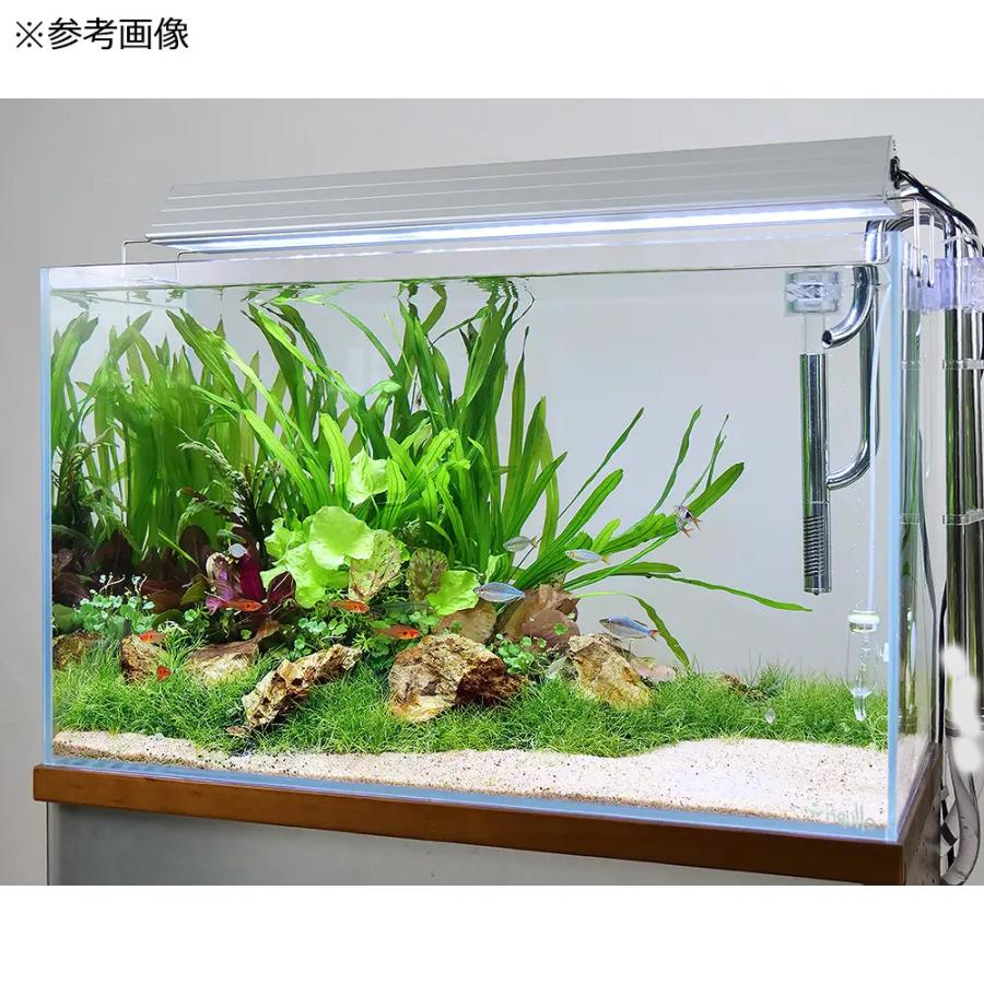 アクロ ガラス水槽 アクロ60 スーパークリア 60×30×36cm