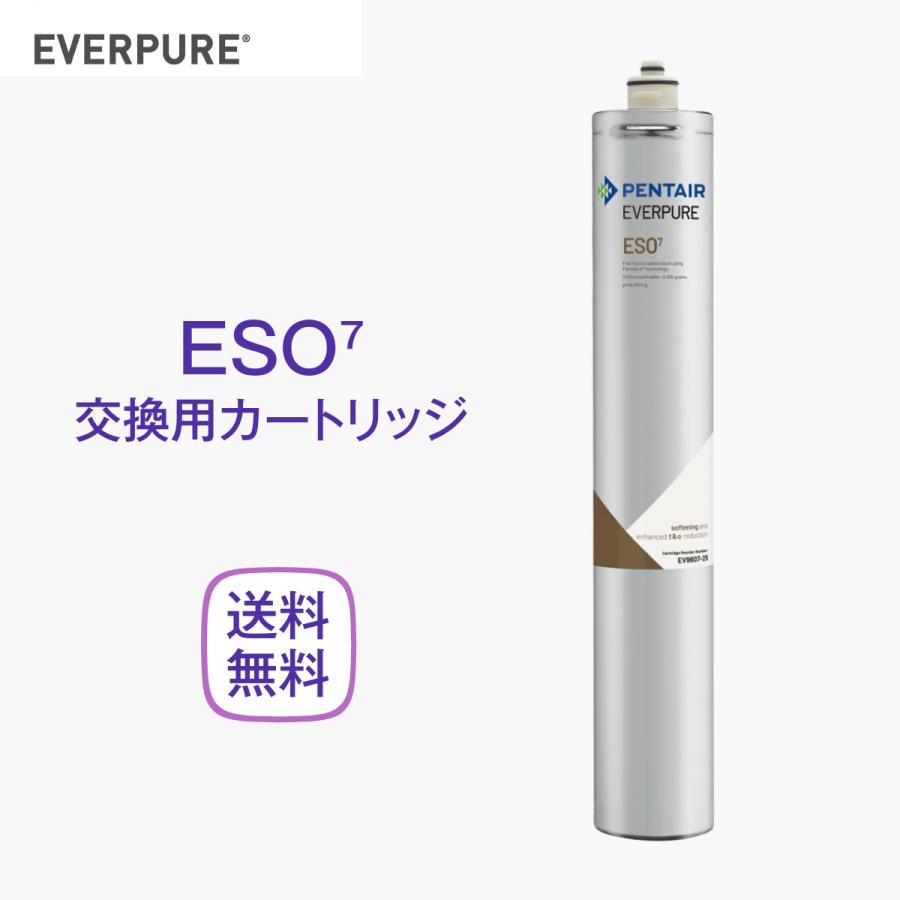 エバーピュア ESO7 浄軟水器カートリッジ 業務用 : 厨房 キッチン