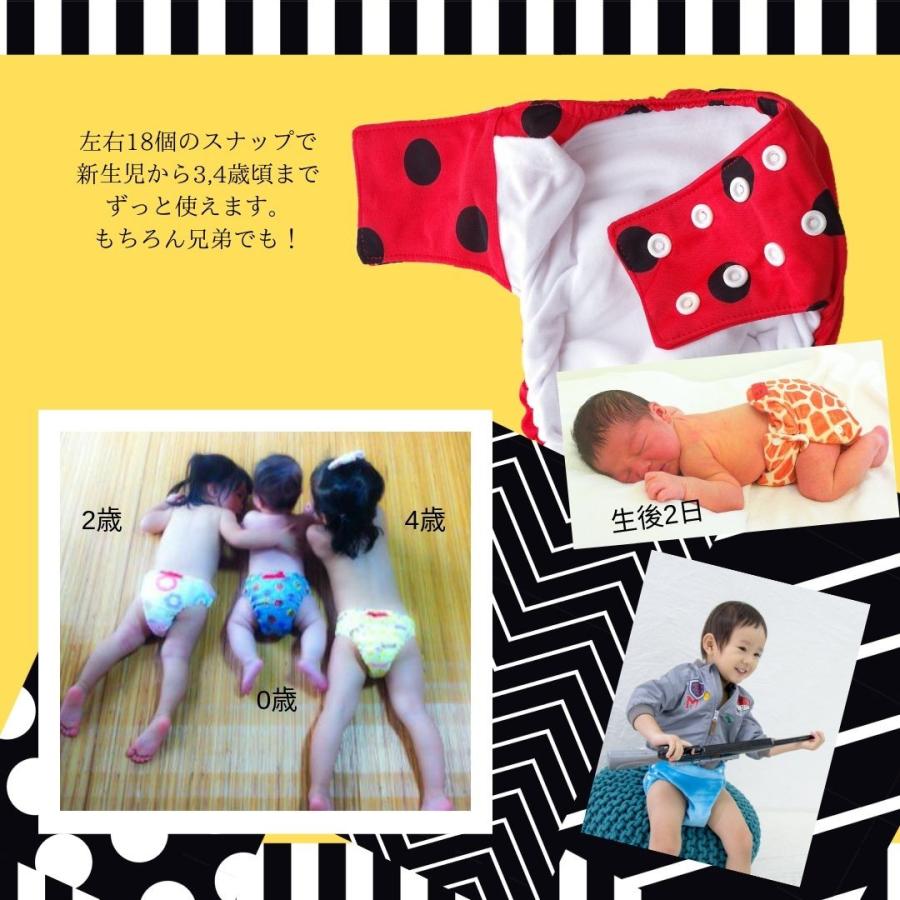 ドラゴンフレーバーズDragon Flavors一体型ドラゴンおむつポケット