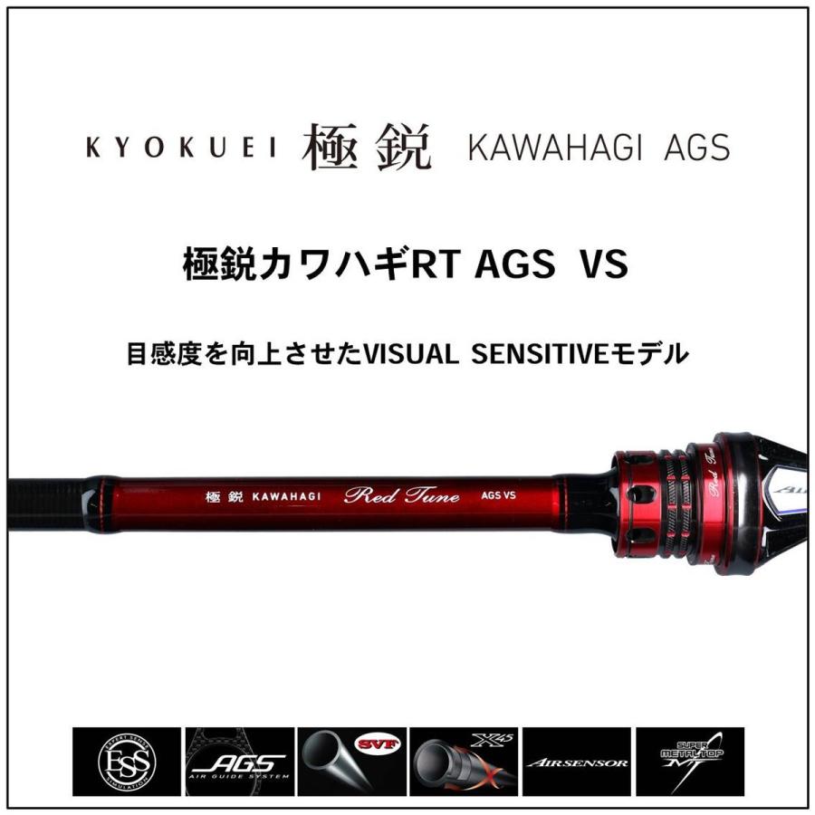 DAIWA（ダイワ） ロッド 極鋭カワハギ RT AGS VS [6・大型] : 釣具の