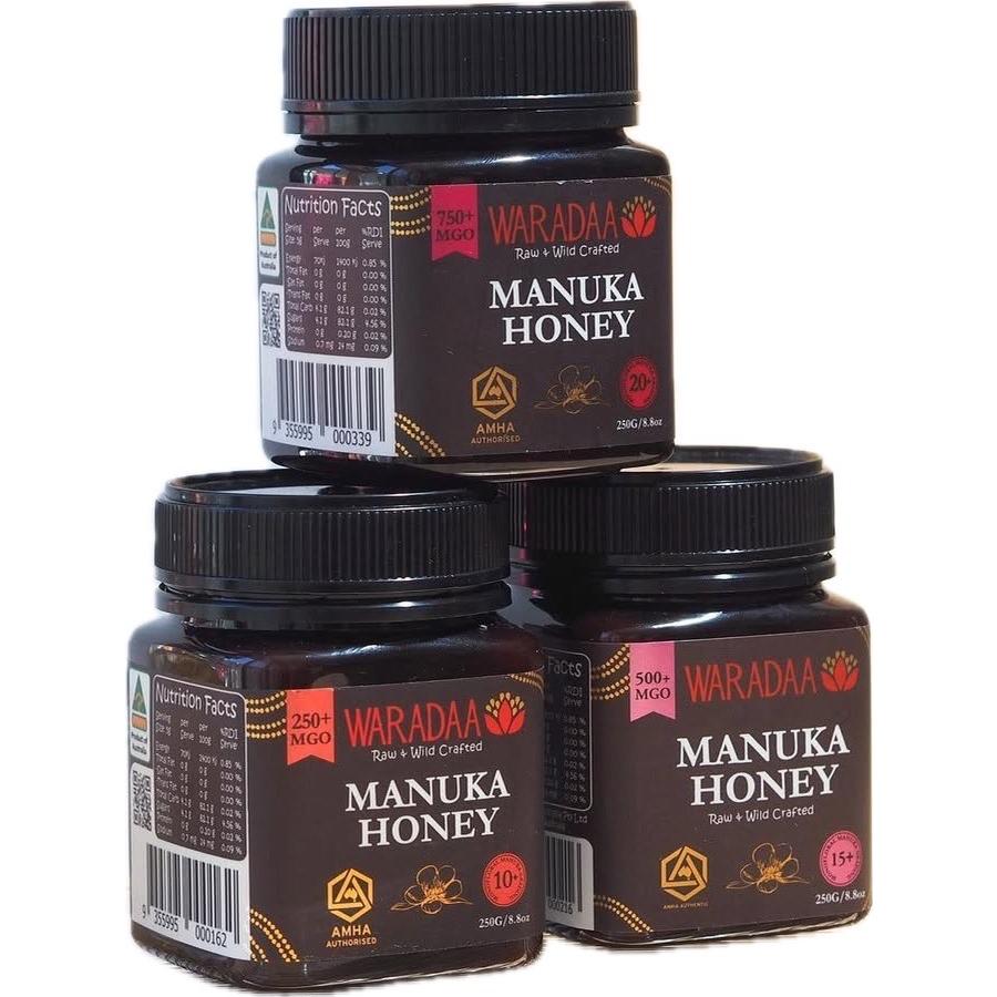 3個セット 美味しいオーストラリア産マヌカハニー MGO250+ 250g UMF10