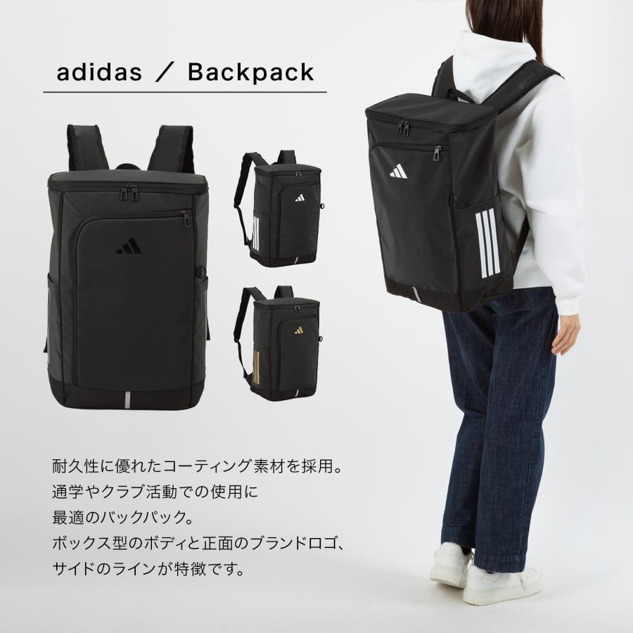 未使用 日本大学藤沢 指定バッグ リュック 未使用 日本大学藤沢 指定