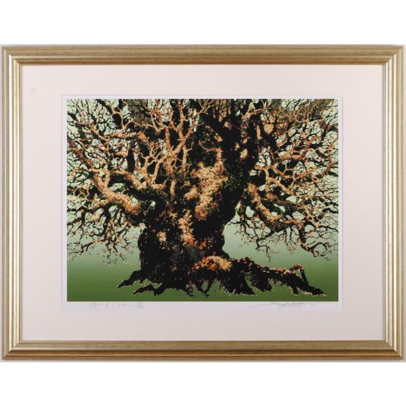 木 絵画 古木 絵 シルクスクリーン 版画 池上壮豊 「旺樹-2-萌」 額