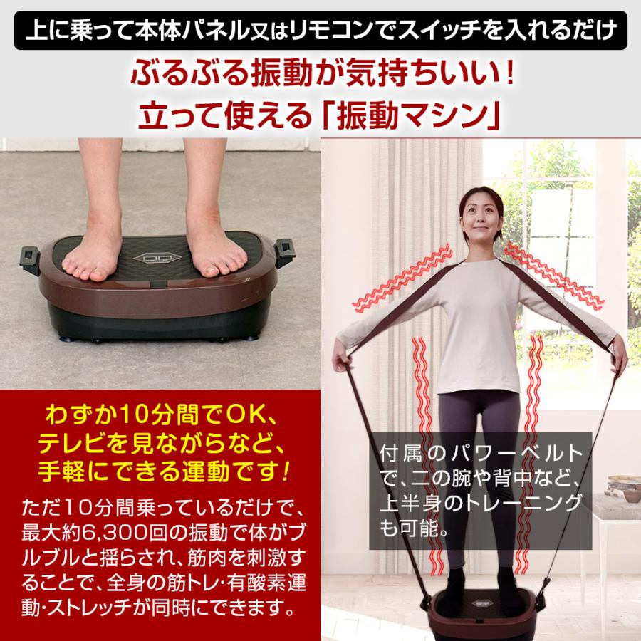 正規品】ブルブル振動マシン ライフフィット 2Wayトレーナー スマート