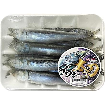 K*p様 ソウルズ シビヤマ180-65G イワシ イナダ セット SOULS