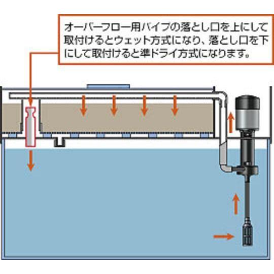 RF-120V 上部フィルター レイシー【メーカー直送商品】 : アクア