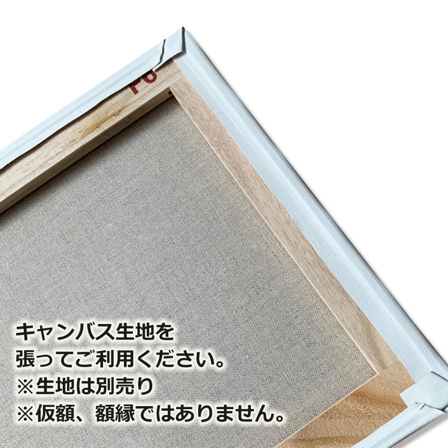 キャンバス用 木枠 F6号 41.0×31.8cm 桐材 クレサンジャパン 未組立