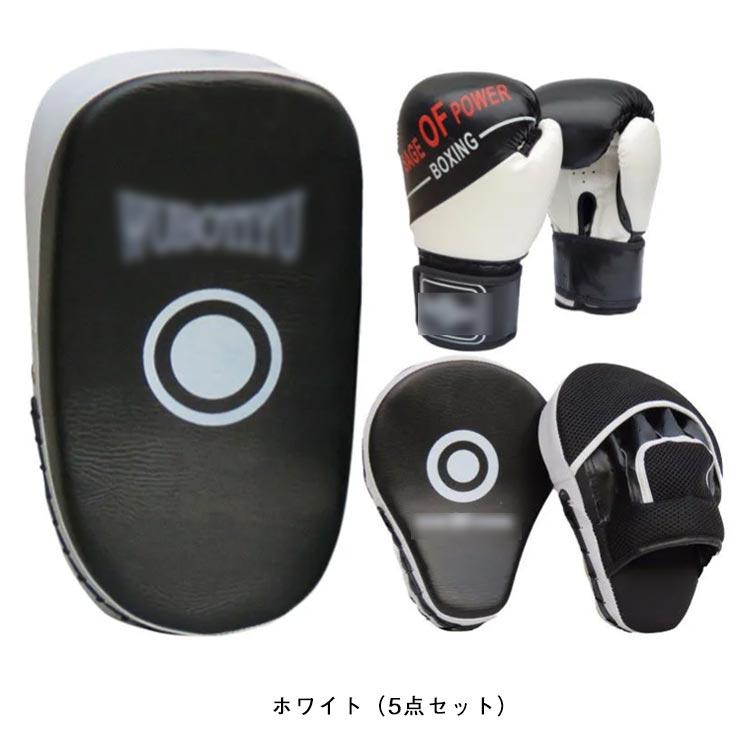5点セット ボクシング 大人用 キックミット テコンドー 武術