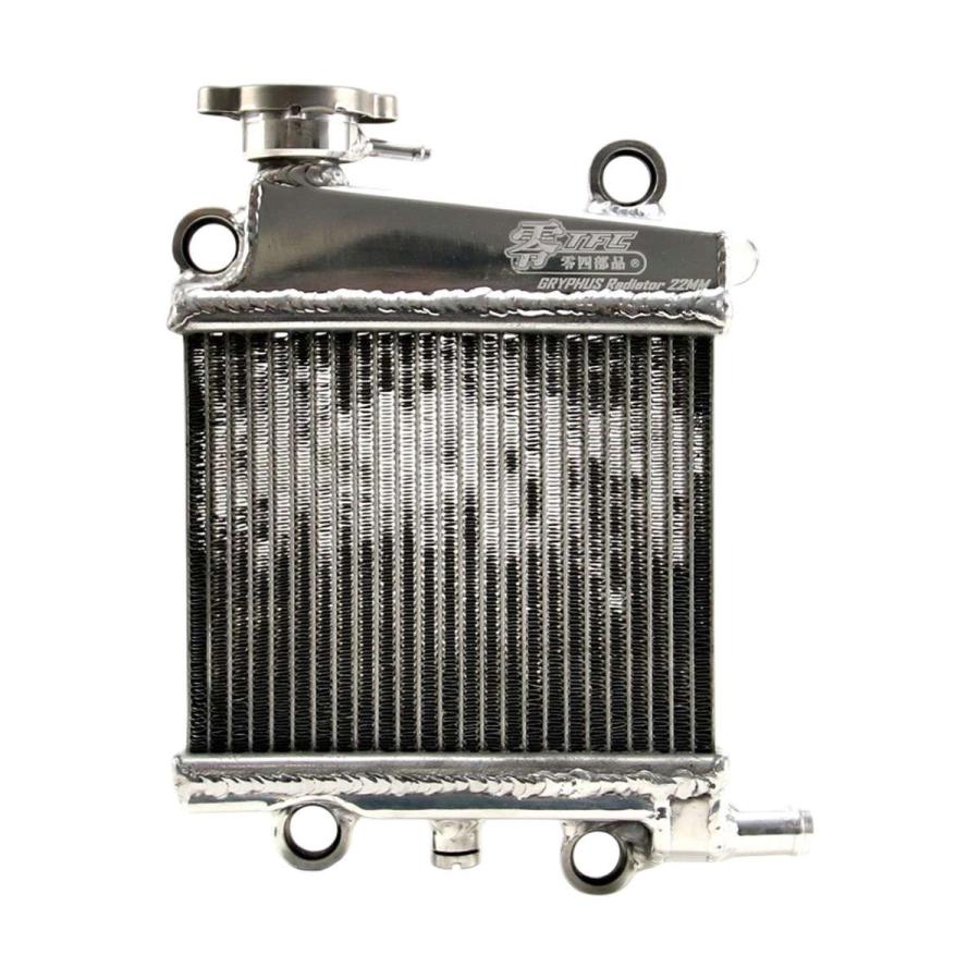 TFC 6型シグナス グリファス CYGNUS GRYPHUS NMAX125 NMAX155 X FORCE