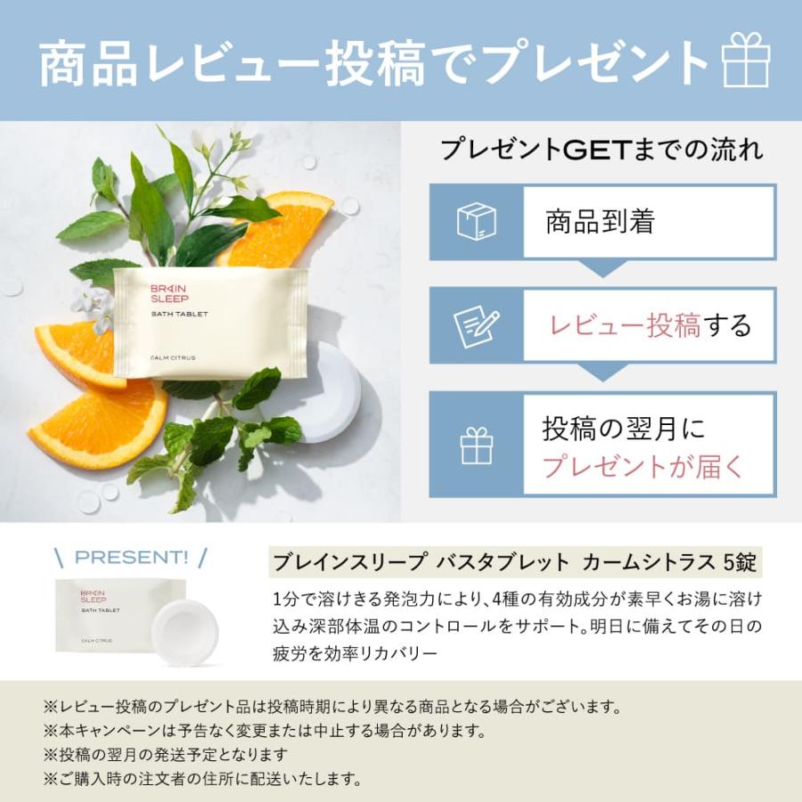 ブレインスリープ オールインワン 寝具 収納 コンパクト 洗える 枕