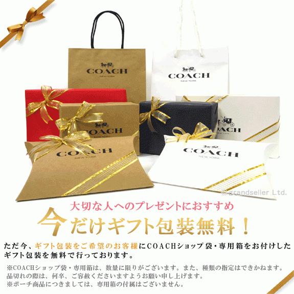 COACH（コーチ） コーチCOACHポーチ 新作 新品 フローラルプリント 花