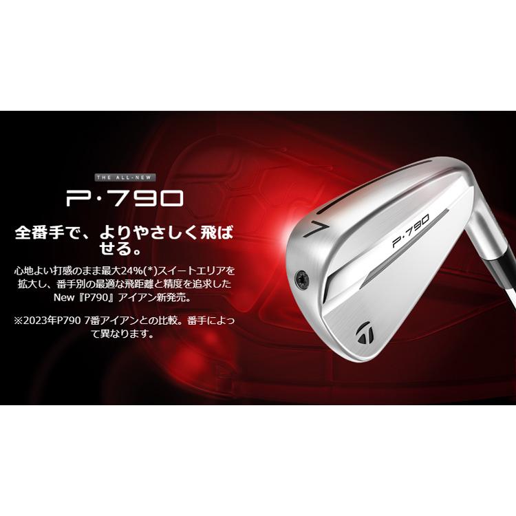 TaylorMade（テーラーメイド） (特注 納期2-6週) P790(25) アイアン