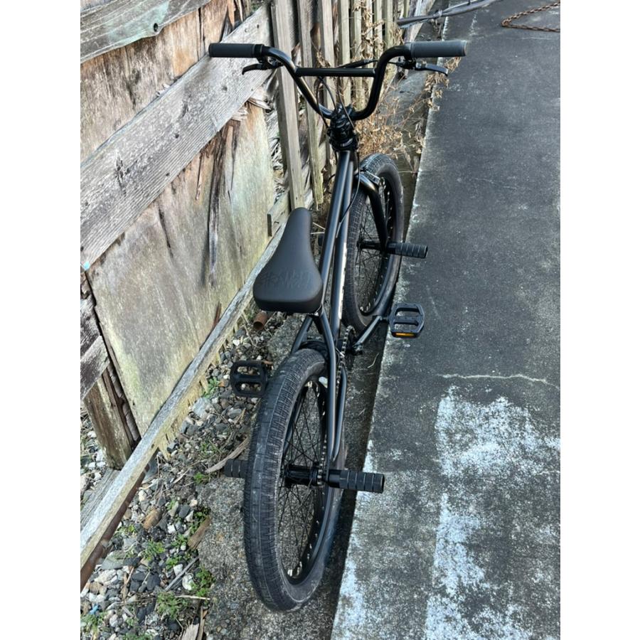 自転車 BMX フルスペック FLATLAND 20インチ TNB / SEEK 17.9 送料無料