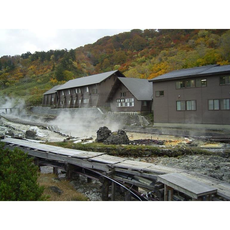 玉川の湯 「癒」 標準判 家庭用入浴健康器具 玉川温泉をご自宅で！温浴