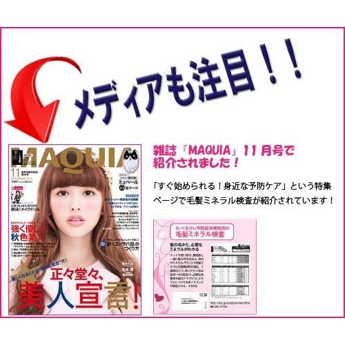 毛髪ミネラル検査キット 29元素 体内のミネラルバランスと有害金属の