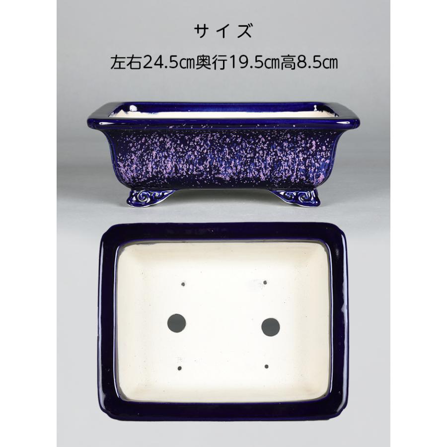 鴻陽 盆栽鉢 小品盆栽 山野草 鴻陽 盆栽鉢 小品盆栽 山野草 鴻陽陶園