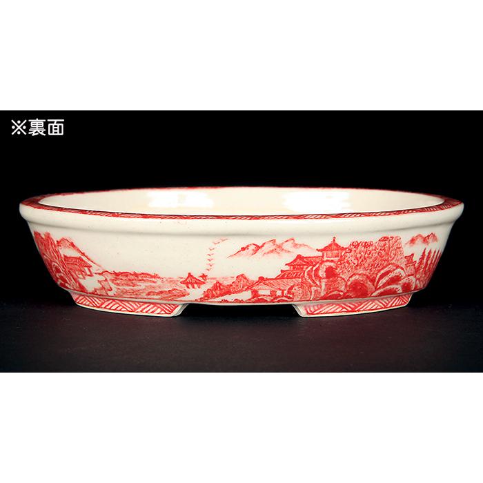 盆栽鉢 「紀伊赤絵山水図楕円鉢」 植木鉢 絵付鉢 作家鉢 磁器 共箱