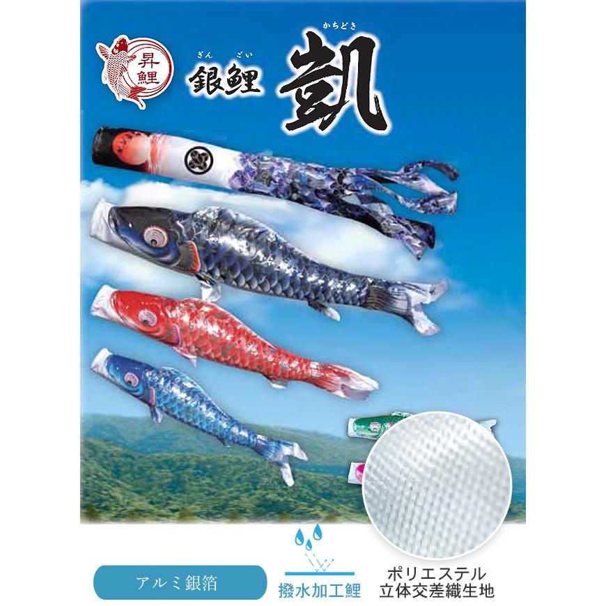徳永鯉 鯉のぼり 2メートル ホームセット こいのぼり3色（黒・赤・青