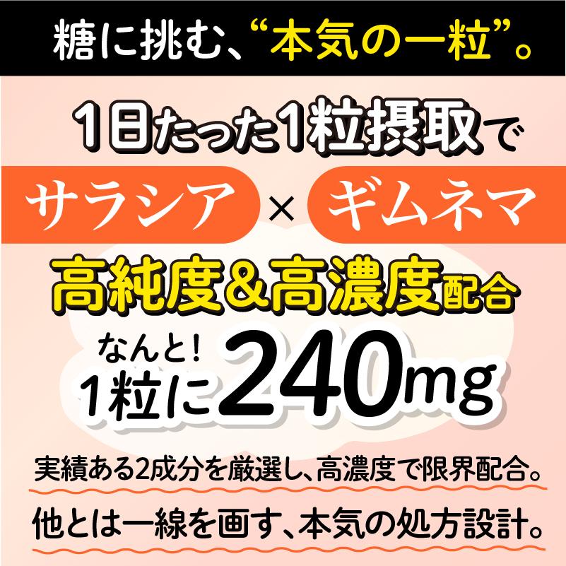 ザ糖質プレミアムダイエット 60粒入パック(約1-2か月分) 【2個以上ご