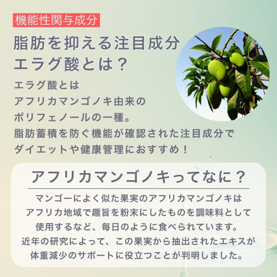 キラーバーナー2 KILLER BURNER 2 キラーバーナー 45粒 機能性表示食品