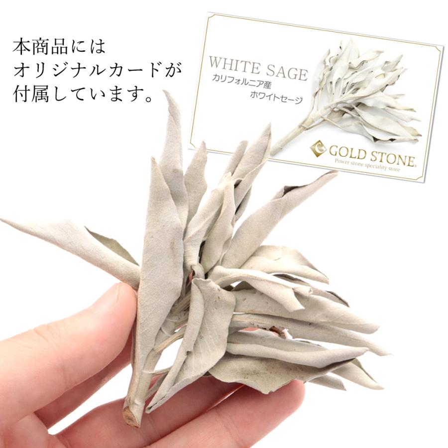 GOLD STONE ホワイトセージ 枝付き 選別済み 無農薬 オーガニック 高