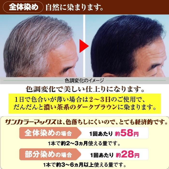 光で染まる白髪染め サンカラーマックス 75g 2本セット ノンジアミン