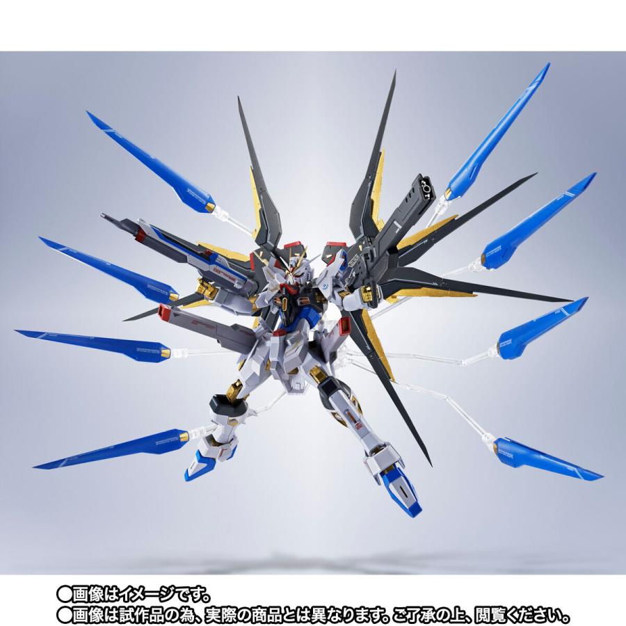 ガンダム 【新品】 METAL ROBOT魂 ＜SIDE MS＞ ストライクフリーダム