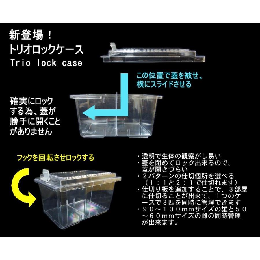 トリオロックケース（仕切板1枚付属） 飼育ケース : Garage疾風