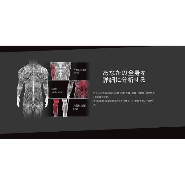 タニタ 左右部位別体組成計 インナースキャンデュアル RD-801（送料