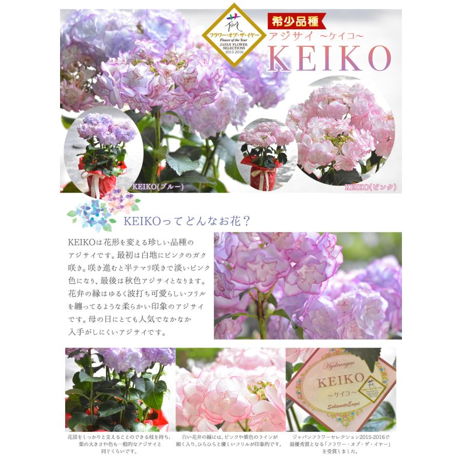 漫才興行2025 紫陽花あざやか東名神長 ポーチ ビーチ・シングス