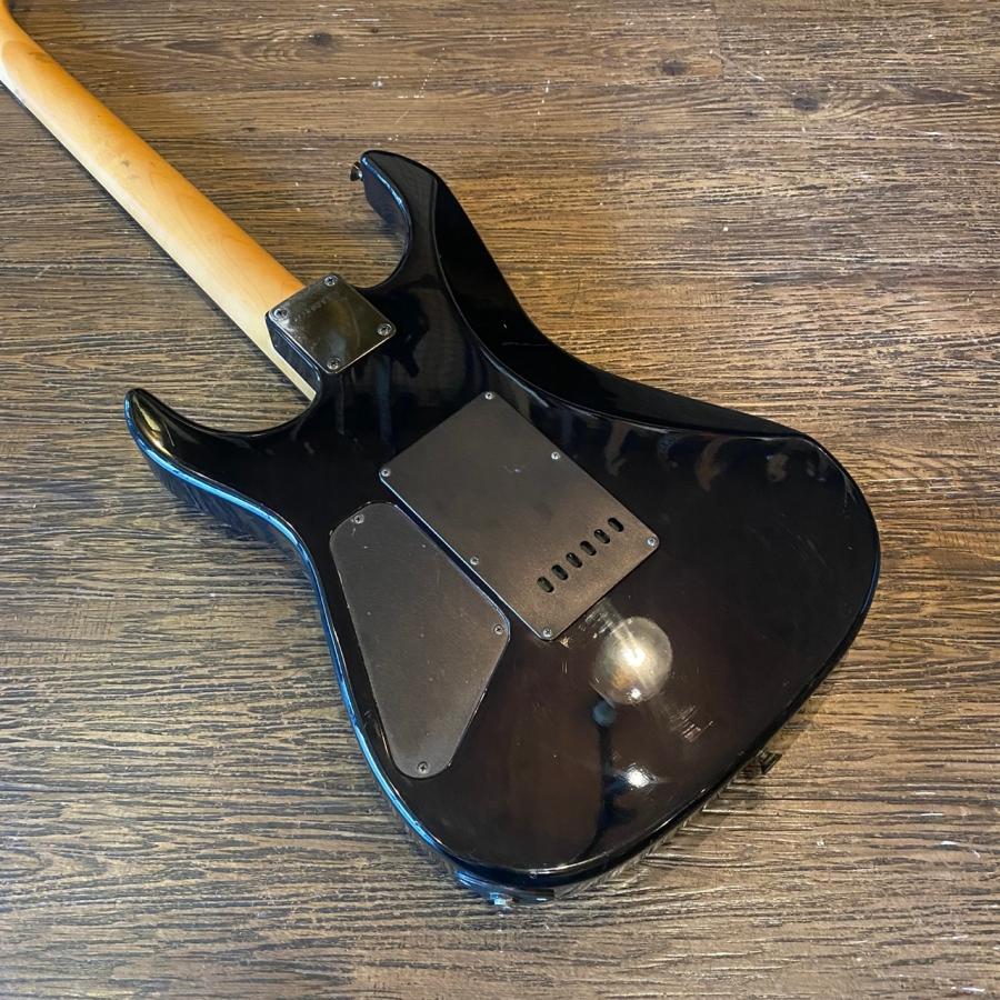 FERNANDES（フェルナンデス） Fernandes Limited Edition Electric