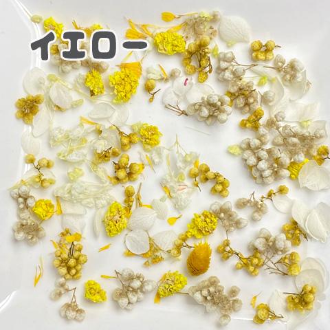 ドライフラワー 色別 花びら つぼみ 色々ミックス レジン ネイル 封入