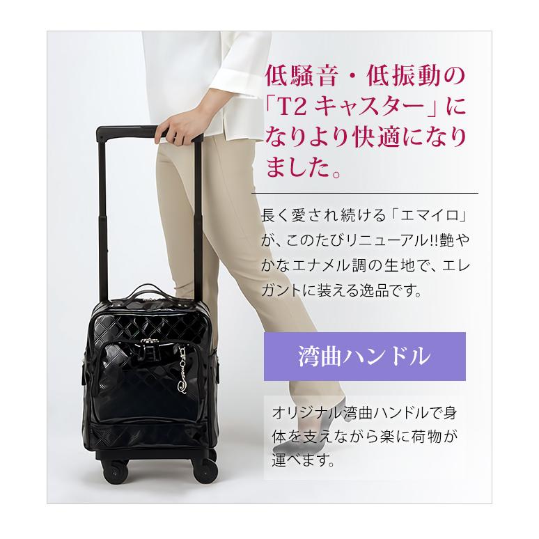 SWANY（スワニー） キャリーバッグ ショッピングカート 横押し