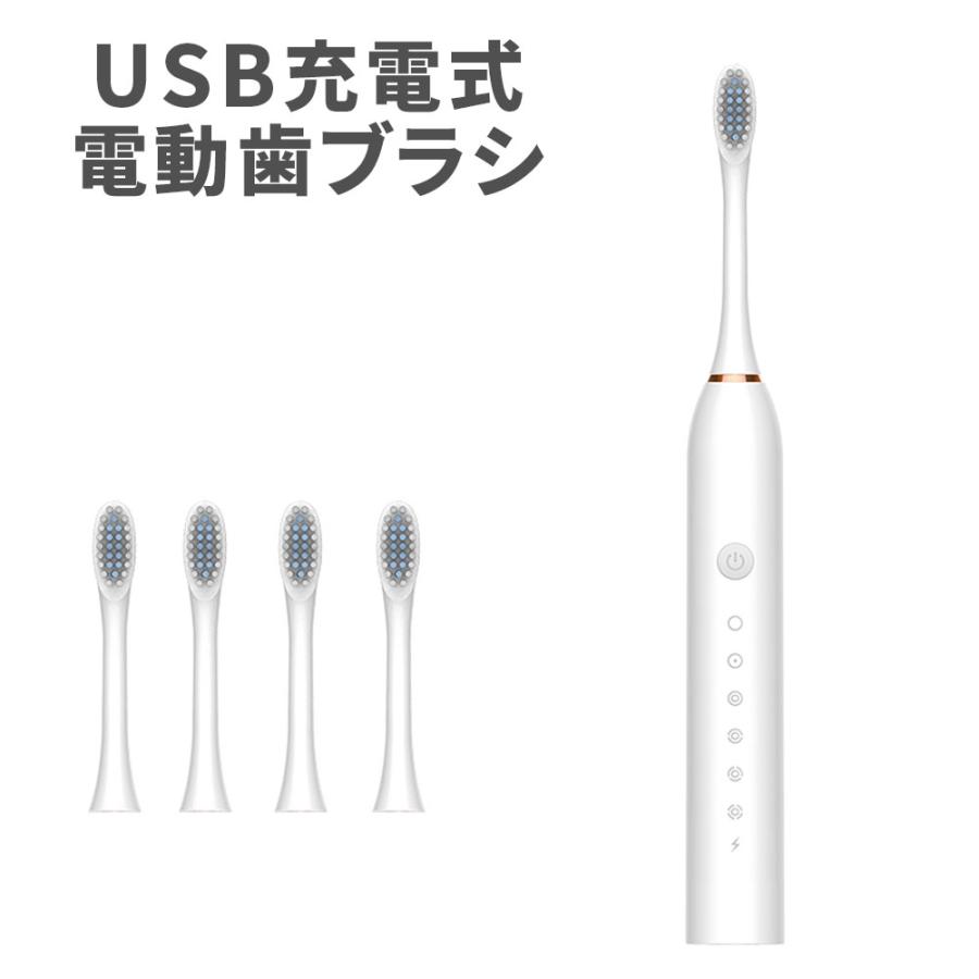 Life Ideas 電動歯ブラシ ホワイト USB充電 6モード切替 替えブラシ4本