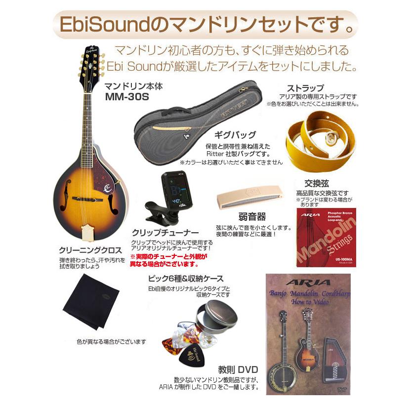 Epiphone エピフォン マンドリン MM-30S フラットマンドリン 初心者 10