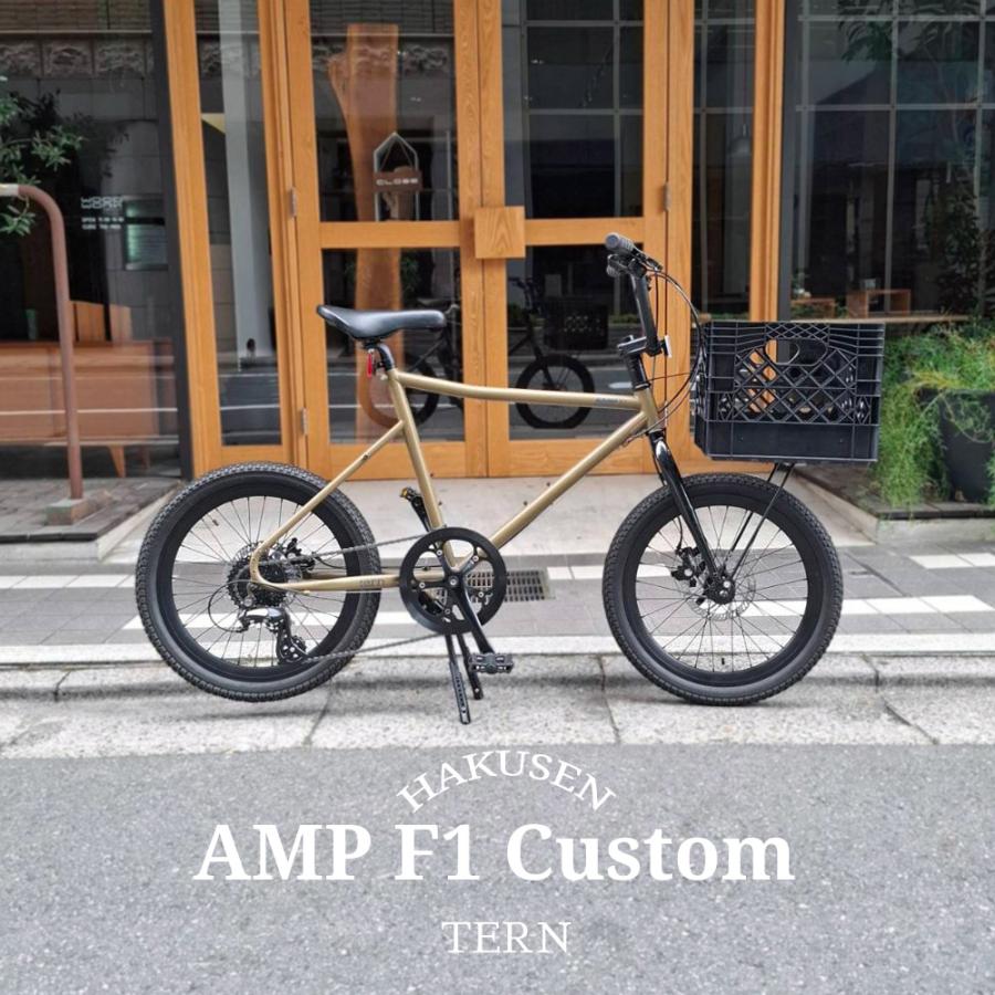 tern 限定特価(akibo)(akibo) 正方形コンテナ搭載フルカスタム AMP F1