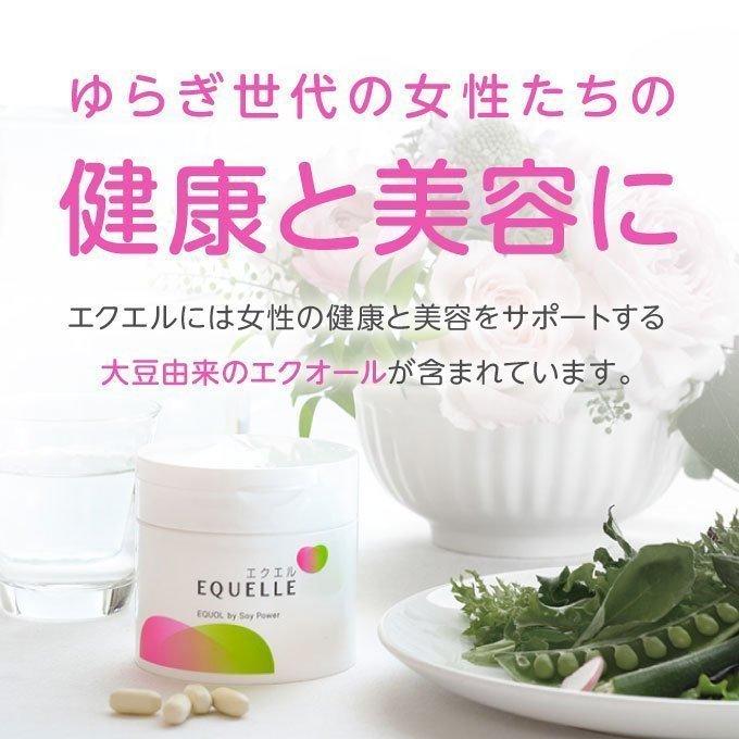 エクエル パウチ 大塚製薬 120粒×3袋 エクオール : エクセレント