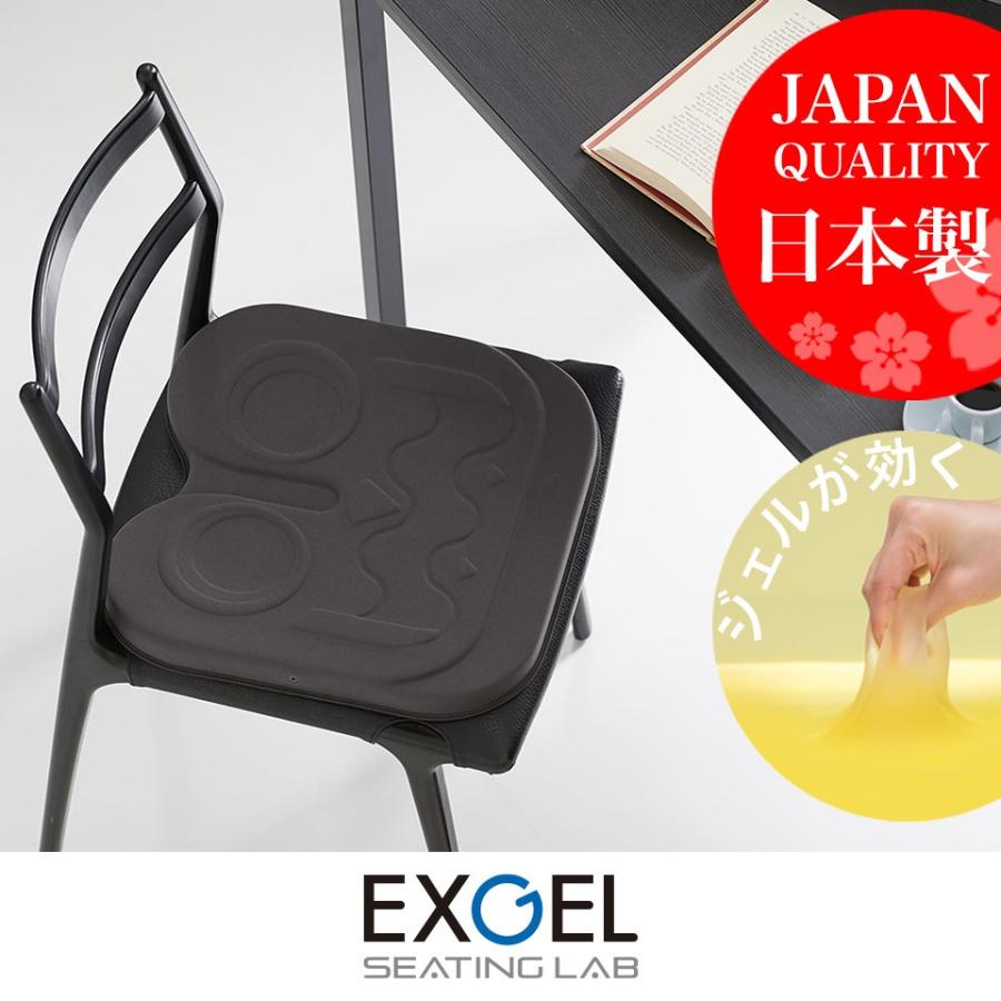 EXGEL（エクスジェル） ジェルクッション クッション 腰 姿勢 腰痛